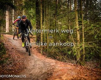 Drenthe 200 Extreme Marathon photo