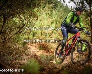 Drenthe 200 Extreme Marathon photo