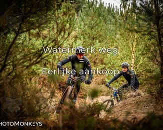 Drenthe 200 Extreme Marathon photo