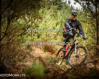 Drenthe 200 Extreme Marathon photo