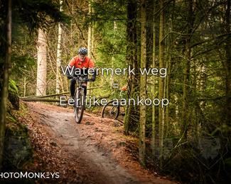 Drenthe 200 Extreme Marathon photo