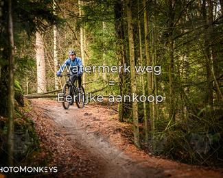 Drenthe 200 Extreme Marathon photo