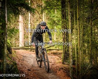 Drenthe 200 Extreme Marathon photo