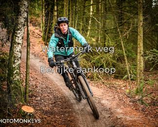 Drenthe 200 Extreme Marathon photo