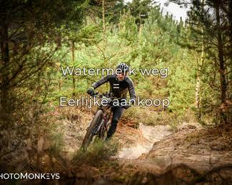 Drenthe 200 Extreme Marathon photo