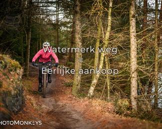 Drenthe 200 Extreme Marathon photo