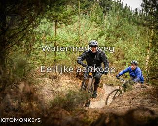 Drenthe 200 Extreme Marathon photo