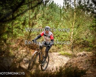 Drenthe 200 Extreme Marathon photo