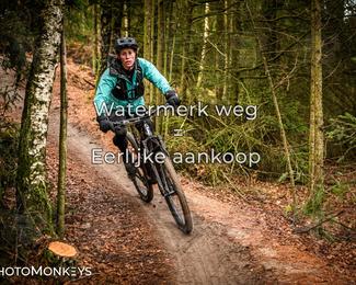 Drenthe 200 Extreme Marathon photo