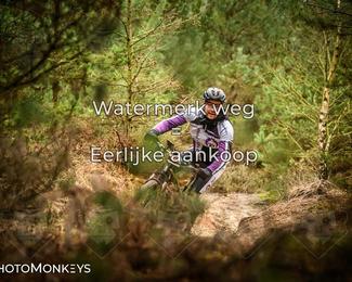 Drenthe 200 Extreme Marathon photo