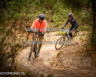 Drenthe 200 Extreme Marathon photo