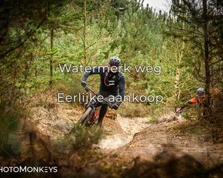 Drenthe 200 Extreme Marathon photo