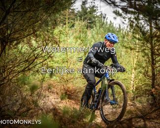 Drenthe 200 Extreme Marathon photo