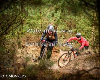 Drenthe 200 Extreme Marathon photo
