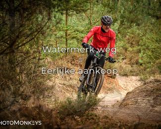 Drenthe 200 Extreme Marathon photo