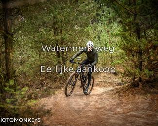 Drenthe 200 Extreme Marathon photo