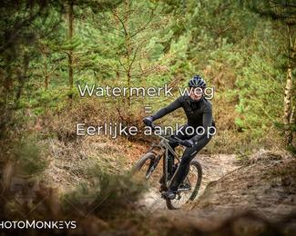 Drenthe 200 Extreme Marathon photo