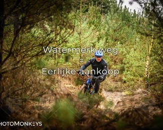 Drenthe 200 Extreme Marathon photo