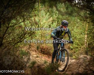 Drenthe 200 Extreme Marathon photo