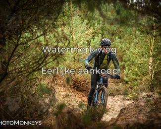 Drenthe 200 Extreme Marathon photo