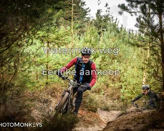 Drenthe 200 Extreme Marathon photo