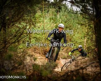 Drenthe 200 Extreme Marathon photo