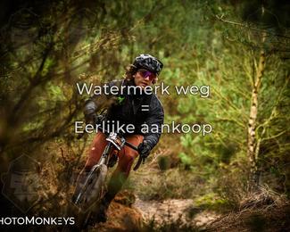 Drenthe 200 Extreme Marathon photo