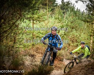 Drenthe 200 Extreme Marathon photo
