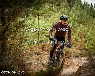 Drenthe 200 Extreme Marathon photo
