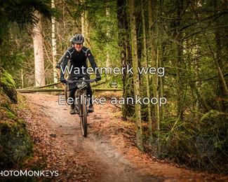 Drenthe 200 Extreme Marathon photo