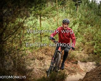 Drenthe 200 Extreme Marathon photo