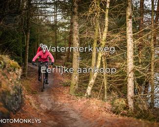 Drenthe 200 Extreme Marathon photo