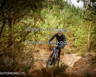 Drenthe 200 Extreme Marathon photo