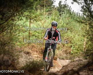 Drenthe 200 Extreme Marathon photo