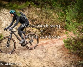 Drenthe 200 Extreme Marathon photo