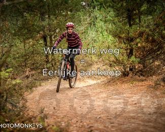 Drenthe 200 Extreme Marathon photo