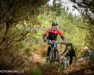 Drenthe 200 Extreme Marathon photo