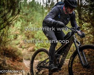 Drenthe 200 Extreme Marathon photo