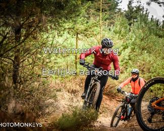 Drenthe 200 Extreme Marathon photo