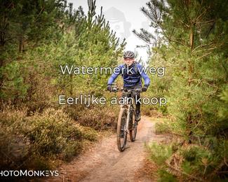 Drenthe 200 Extreme Marathon photo