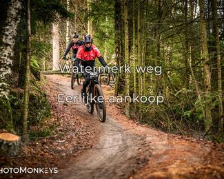 Drenthe 200 Extreme Marathon photo