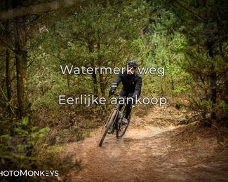 Drenthe 200 Extreme Marathon photo