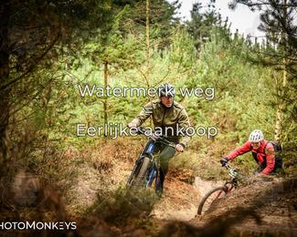 Drenthe 200 Extreme Marathon photo