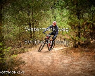 Drenthe 200 Extreme Marathon photo