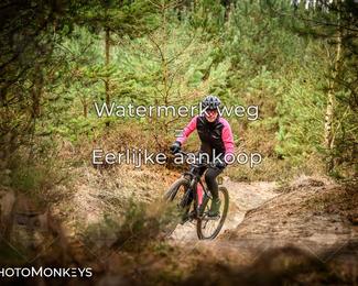 Drenthe 200 Extreme Marathon photo