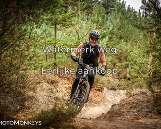 Drenthe 200 Extreme Marathon photo