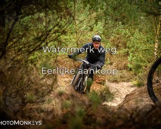 Drenthe 200 Extreme Marathon photo