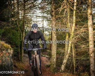 Drenthe 200 Extreme Marathon photo