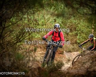 Drenthe 200 Extreme Marathon photo