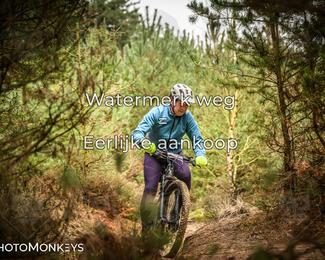 Drenthe 200 Extreme Marathon photo